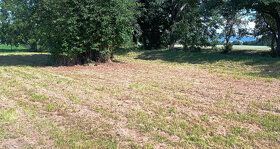 Pozemek 1.200 m2 ze 3/4 oplocen, zahrada, pro stavbu chaty k