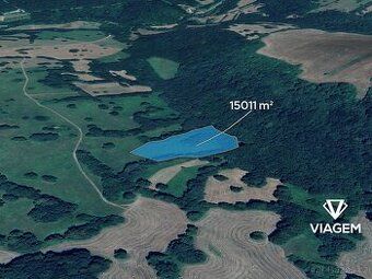 Prodám 1/2 podíl na vinici o ploše 1505 m2 v lokalitě Slovác