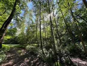 Dovolujeme si Vám nabídnout malebný pozemek o výměře 2217 m2