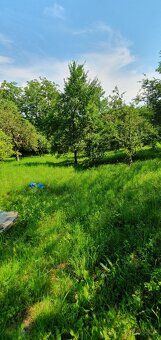 Prodám zahradu v Hořicích 3000 m². Volat pouze vážní zájemci