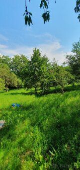 Prodám zahradu v Hořicích 3000 m². Volat pouze vážní zájemci