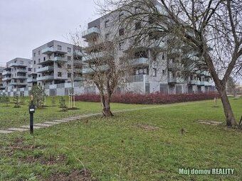 Nabízíme k dlouhodobému pronájmu zařízený 1+kk v 5.patře pan