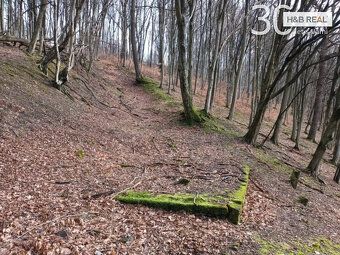 We offer for sale land of total area 52,963 m² on the edge of Vsetín in the local part called Ohrada.