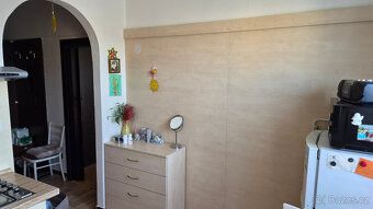 Prodáme družstevní byt, 46 m2, komora, balkon, klimatizace, 