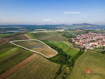 Prodej pozemkůProdej Viničních Tratí v Zaječí V obci Zaječí 