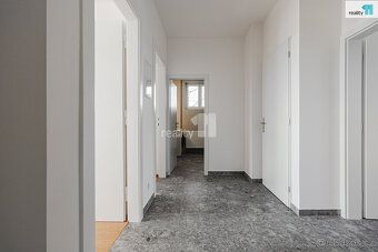 Pronájem pokoje vč. poplatků a energií. , Reality 11 Vám zpr