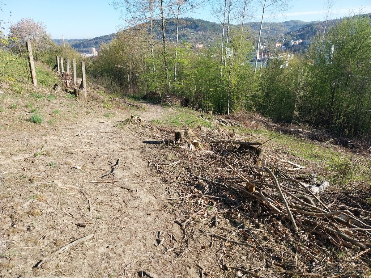 Prodám pozemek na stavbu chalupy,chaty,garáže,bungalovu,elek