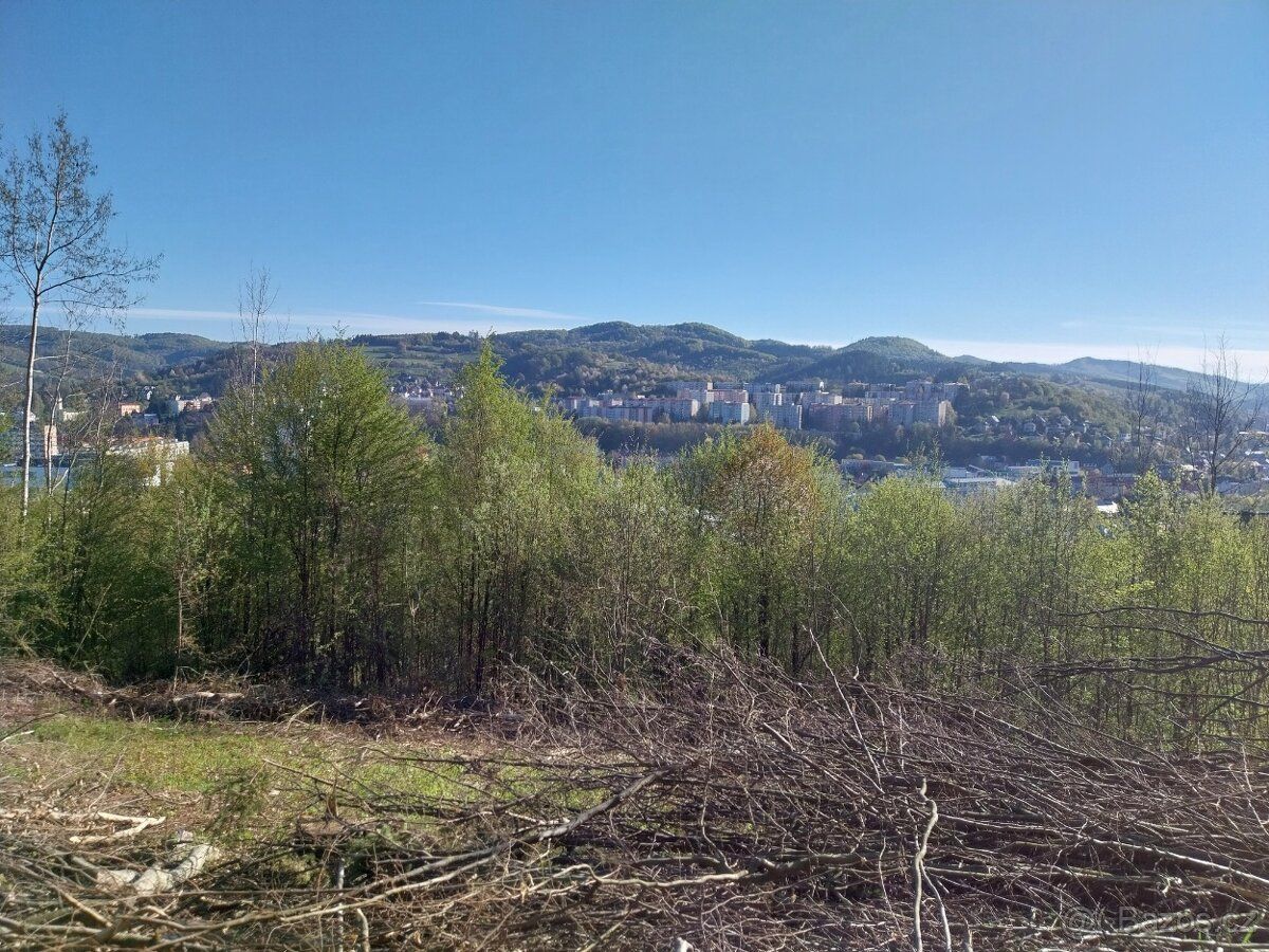 Prodám pozemek na stavbu chalupy,chaty,garáže,bungalovu,elek