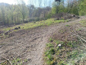 Prodám pozemek na stavbu chalupy,chaty,garáže,bungalovu,elek