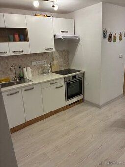 Pronájem rodinného domu 4+kk – České Budějovice (u nemocnice