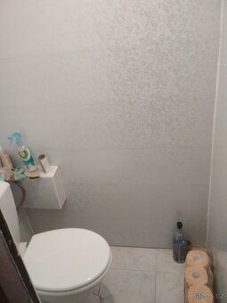 Pronájem nadstandartně velkého bytu 3+1 80m2. V přízemí pane