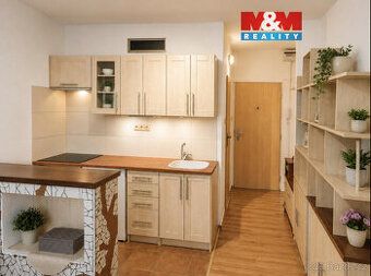 Pronajmu slušným a pracujícím lidem byt 1+1 na Střekově v Žu