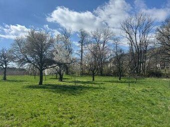 Nabízíme k prodeji pozemek k bydlení o rozloze 1422 m² nachá