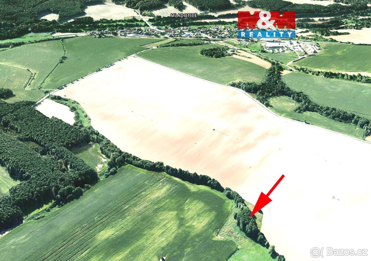 Prodej pozemku o výměře 3253 m2 v katastru obce Mladotice. J