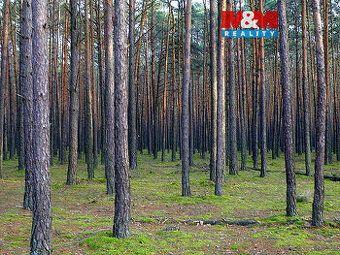 Prodej pozemku o výměře 3253 m2 v katastru obce Mladotice. J
