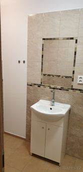 Pronajmu velmi pěkný byt 1+kk se šatnou /cca 55 m. čtv./ - p