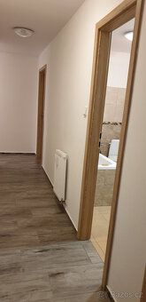 Pronajmu velmi pěkný byt 1+kk se šatnou /cca 55 m. čtv./ - p