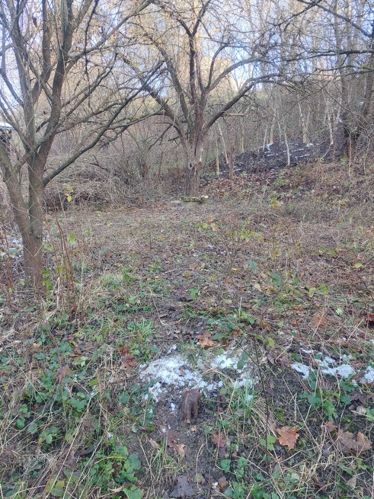 Prodám zahradu přímo v Blansku, klidná oblast pod nemocnicí,