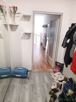 Pronajmu větší 2+1 v Aši Čistý nájem 7 900,- Výše částky za 