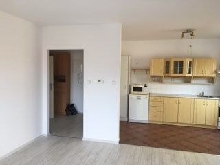 Pronajmu světlý byt 2x, 56 m2, vc. sklepa, částečně zařízený