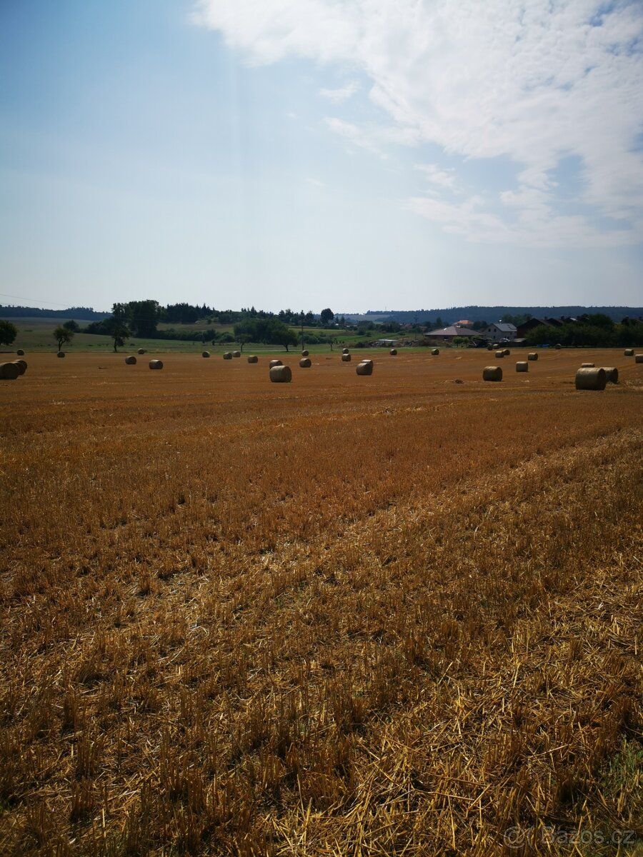 Dobrý den prodám pozemek orná půda v obci Štítary na Moravě 