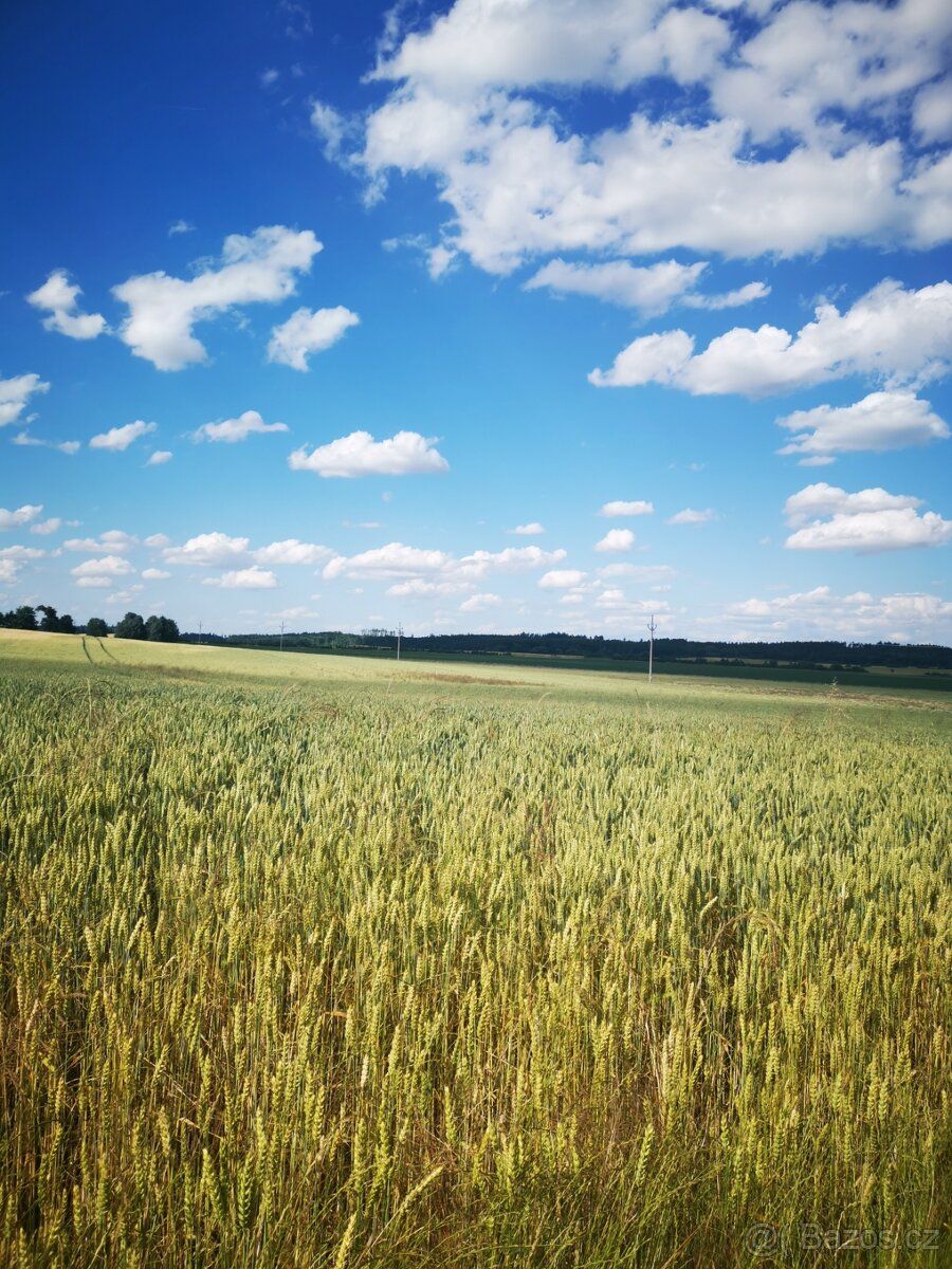 Dobrý den prodám pozemek orná půda v obci Štítary na Moravě 