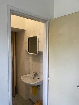Pronajmu 2 spojené pokoje s vlastním WC a sprchovým koutem. 
