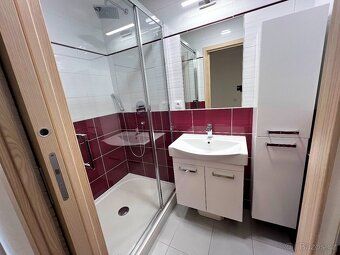 Nabízíme Vám k podnájmu větší , velice elegantní byt o dispo