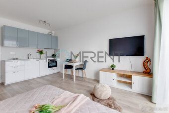 Nabízíme k pronájmu světlý a útulný byt 1+kk o velikosti 31 