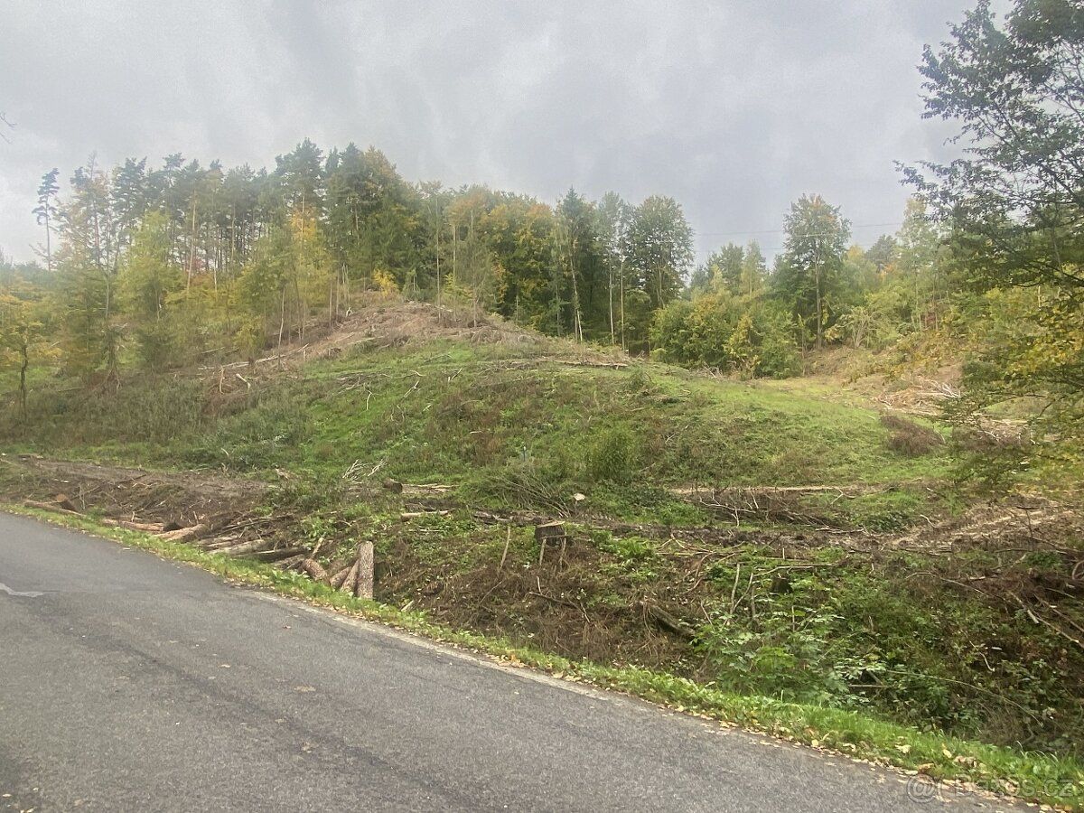 Nabízíme k prodeji dva lesní pozemky a plochu trvalého travn