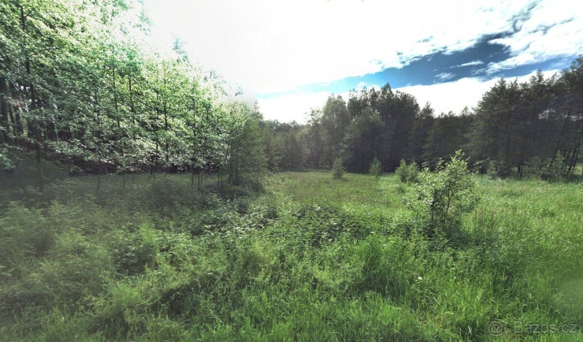 Prodám pozemek v Dětmarovicích, 3067/4, 4130m2. Na hranici p