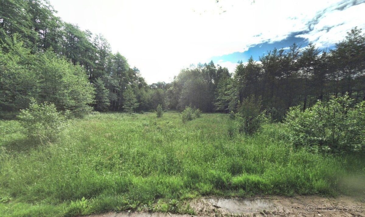 Prodám pozemek v Dětmarovicích, 3067/4, 4130m2. Na hranici p