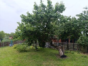Přenechám práva k zahrádce 200m2, rovinatý pozemek, Osada Ja