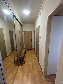 Hledáte útulné vlastní bydlení nebo skvělou investiční příle