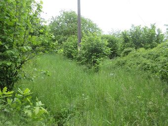 NA PRODEJ - pozemky o celkové výměře 2.006 m2, které se nach