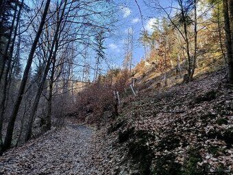 Trvalý travní porost o výměře 4019 m2, katastrální území Jíl