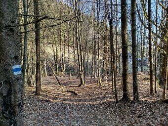 Trvalý travní porost o výměře 4019 m2, katastrální území Jíl
