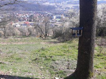 Nabízíme Vám k prodeji pozemky bez inženýrských sítí, v k. ú