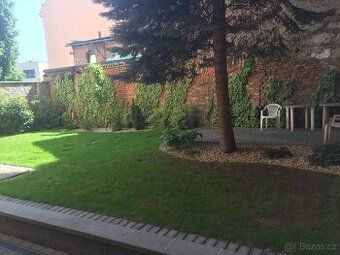 Dlouhodobe pronajmu samostatny,,neprushozi pokoj na ulici Bo