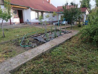 Hledáme slušné nájemníky do rodinného domu o dispozici 4+1 v