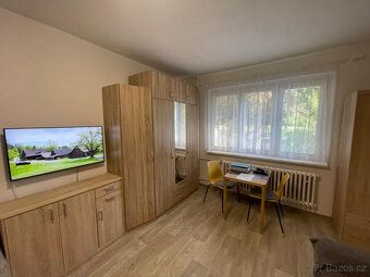 K dlouhodobému podnájmu nabízíme krásný moderní prosluněný b