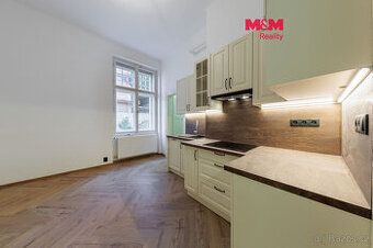 Přímý majitel dlouhodobě pronajme jednotlivci světlou garson