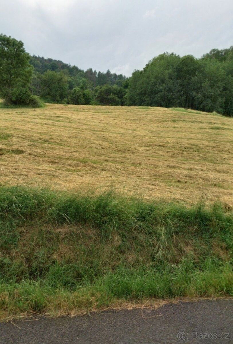 Nabízím k prodeji louku na samém kraji Týniště u malebné obc