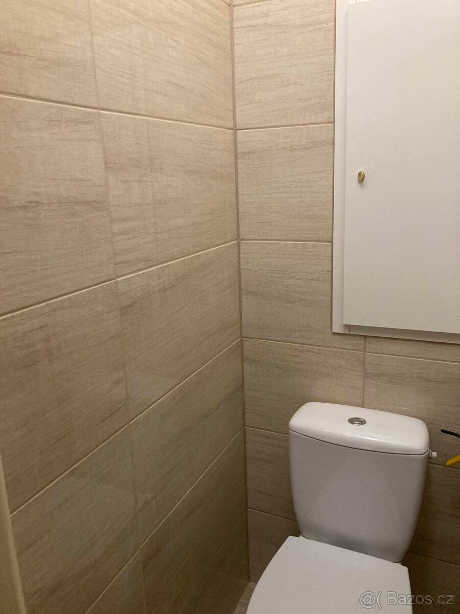 Nabízím k pronájmu světlý a útulný byt 1+1 v žádané lokalitě