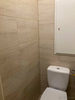 Nabízím k pronájmu světlý a útulný byt 1+1 v žádané lokalitě