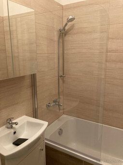 Nabízím k pronájmu světlý a útulný byt 1+1 v žádané lokalitě
