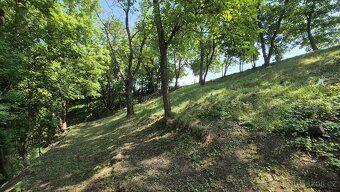 Prodej chaty 24 m² s pozemkem 1 165 m², Chlumčany, okres Lou