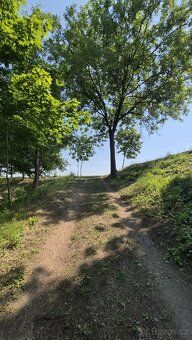 Prodej chaty 24 m² s pozemkem 1 165 m², Chlumčany, okres Lou