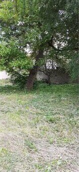 Pronajmu velkou zahradu ve Mšeně u Mělníka, ulice Zahradní. 