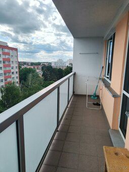 Podnájem - studentské spolubydlení - 3+kk, Hradec Králové
Hl